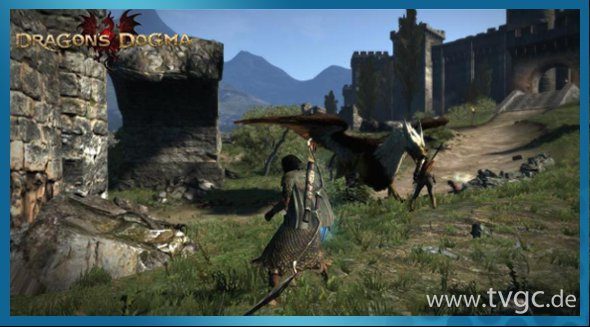 dragons dogma screenshot03