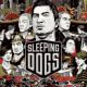 Sleeping Dogs