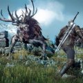 The Witcher 3: Wild Hunt erscheint ungeschnitten