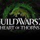 Guild Wars 2 mit über 7 Millionen Accounts