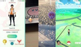 So wirst du zum besten Pokémon Go-Trainer